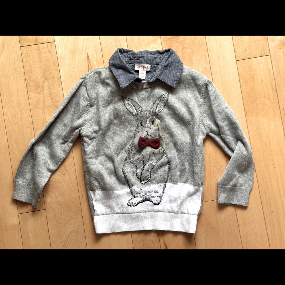 Cute sweater with smart bunny:) size 4T